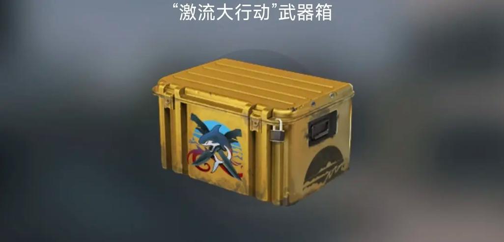 大行动武器箱的推荐
