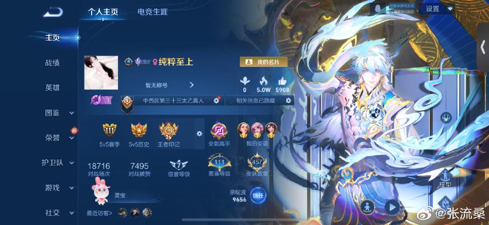 王者营地显示游客什么意思