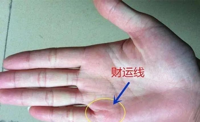 6个财运密码