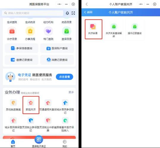 共济账户怎么查询