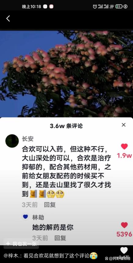 菩提树为什么叫鬼树