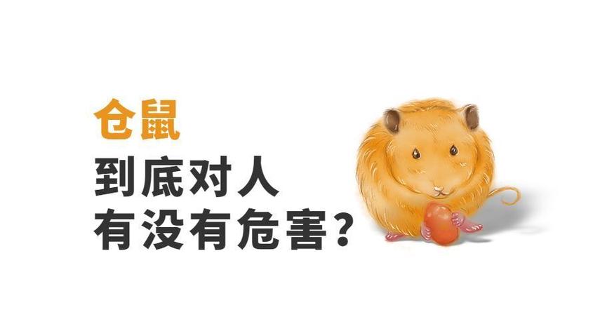 在家里养仓鼠会对人体有害吗