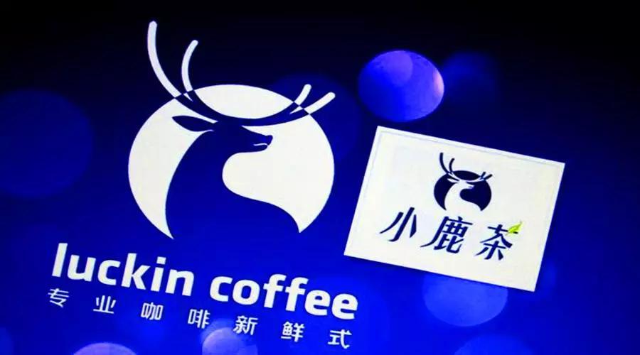 小鹿茶的营销亮点截图