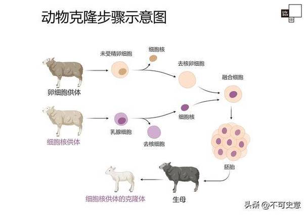群克隆的实现方法截图