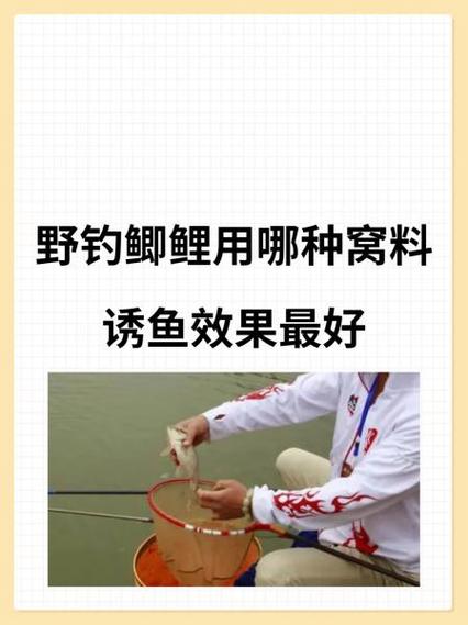鱼窝料添加维生素B几图标