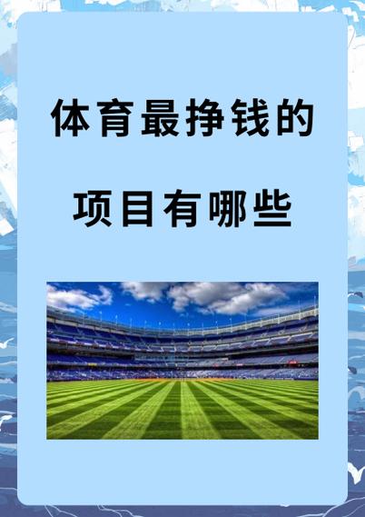 体育最挣钱的项目有哪些游戏截图