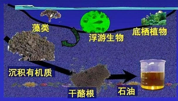 石油是怎么形成的