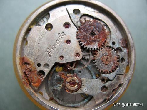 机械表长期不戴会放坏吗