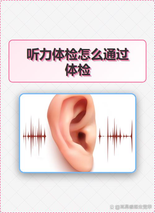 视频如何去除杂音缩略图