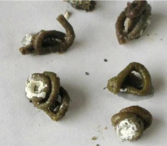 鸽子屎最简单三个偏方图标