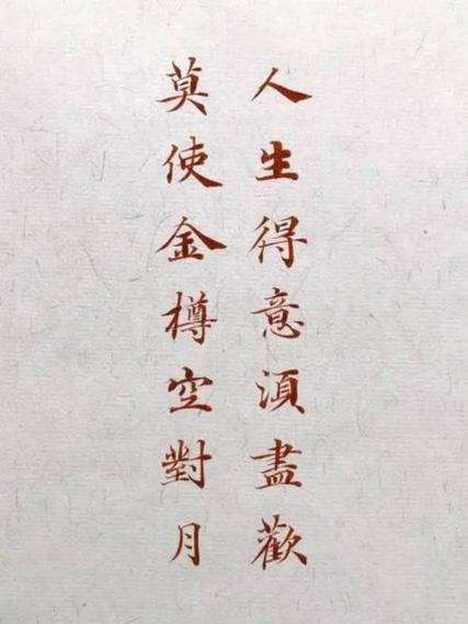 人生得意须尽欢白圆圆截图