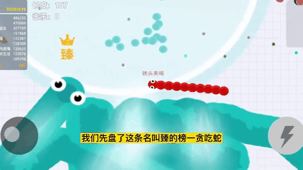 贪吃蛇无尽模式进去都是大蛇截图
