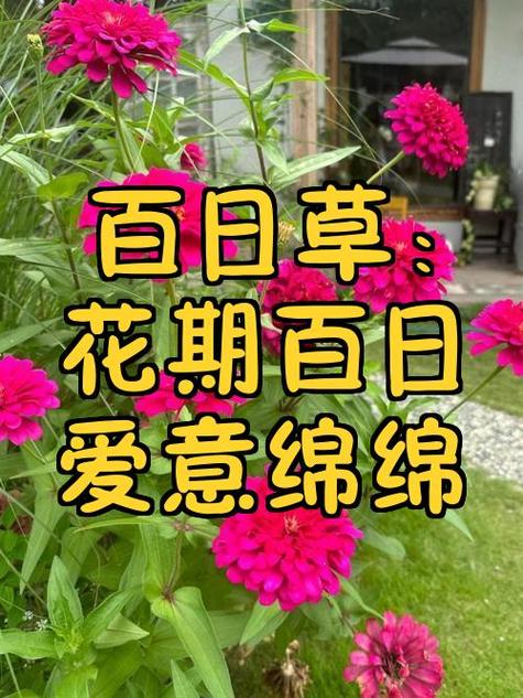 爱意绵绵是什么意思游戏截图