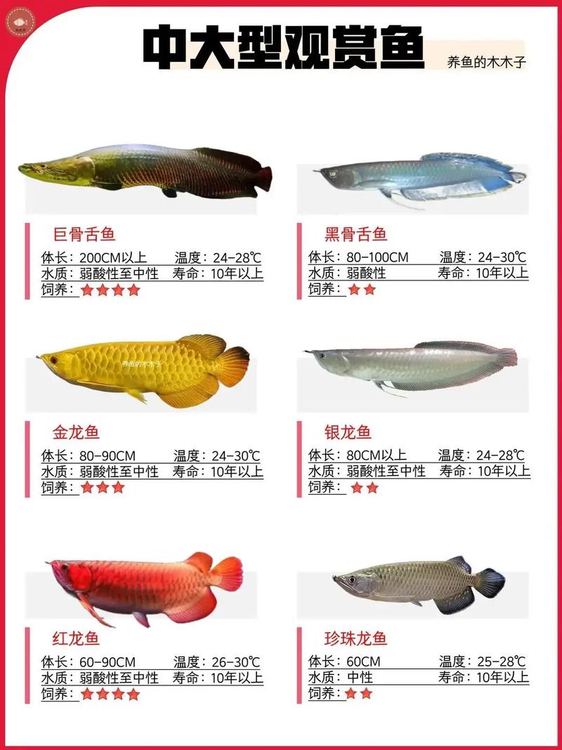 鱼类的寿命有多长之讨论