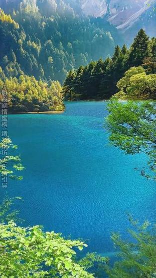 电影《血战丛林》图标