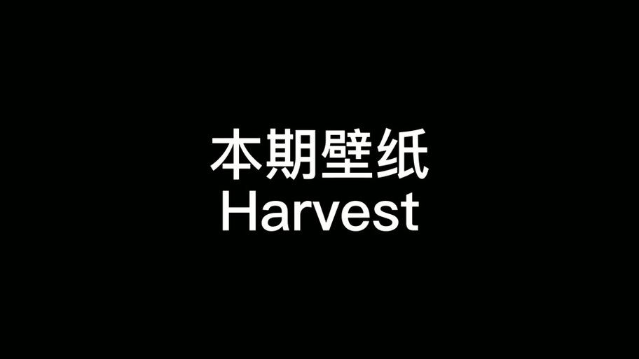 wallpaper鼠标跟随截图