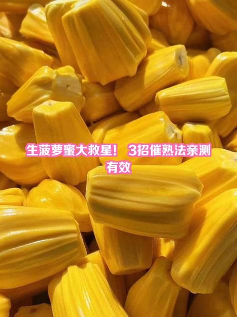 菠萝蜜需要催熟吗缩略图