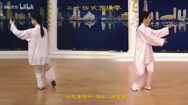 邱慧芳24式简化太极拳视频