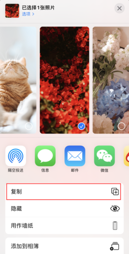 相册移动和复制有什么区别截图