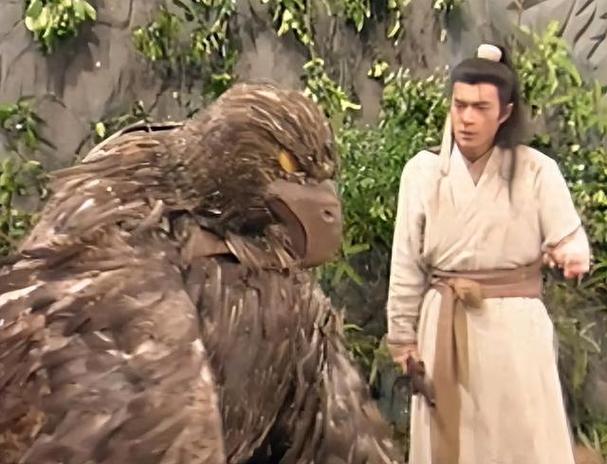 神雕侠侣砍掉杨过胳膊哪一集