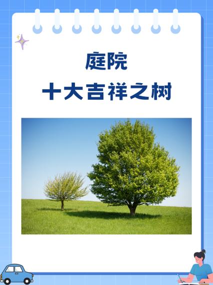 海棠树不能乱栽的原因