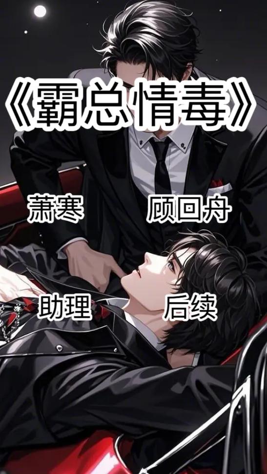 小说言情完结图标
