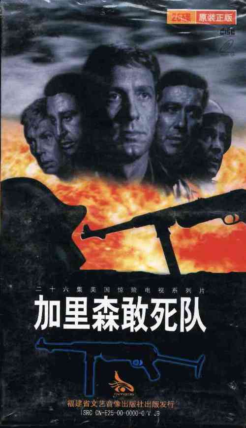 加里森敢死队国语全集完整版