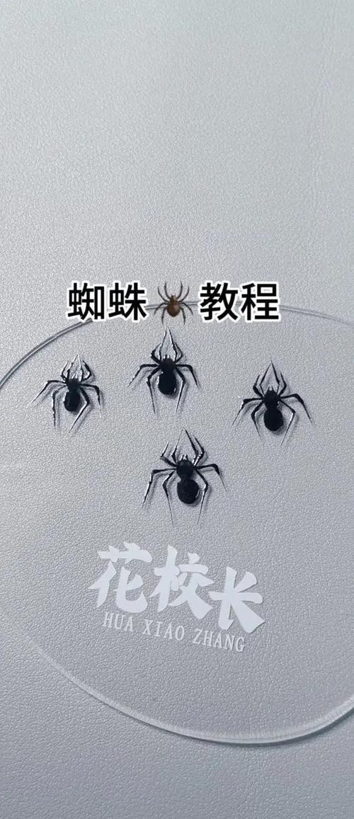 蜘蛛的写意画法