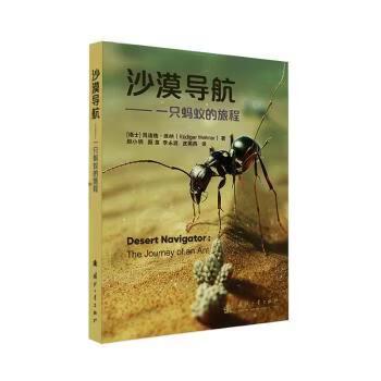 定位沙漠的指令是什么