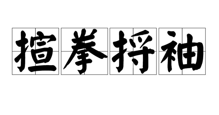 什么袖什么什么成语