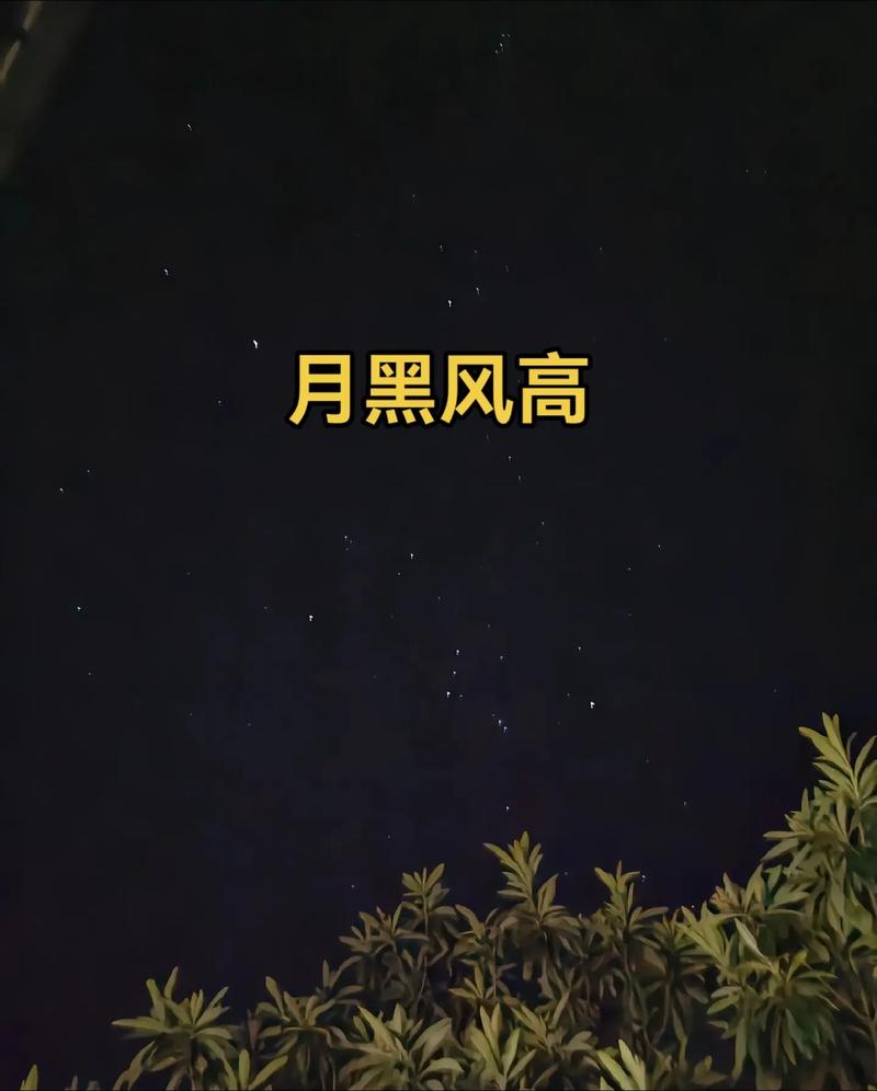 天黑夜风高单于夜遁逃