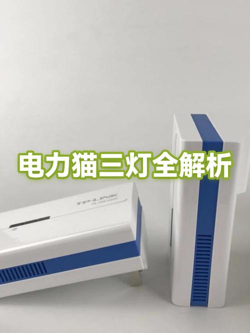 电力猫灯全亮但没网络