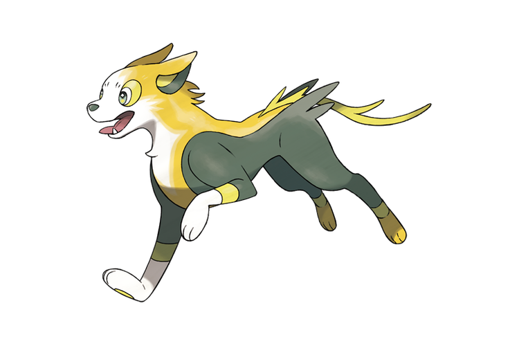 宝可梦逐电犬进化