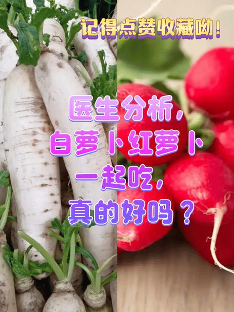 萝卜能和密橘能一块吃吗截图