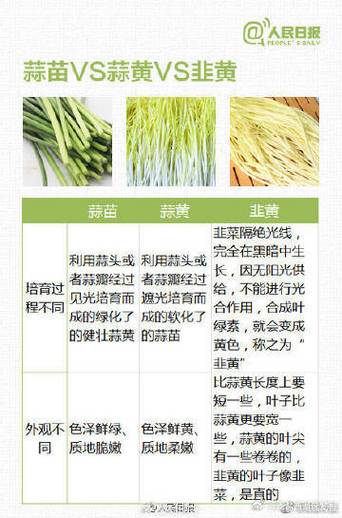 菠萝蜜相克食物