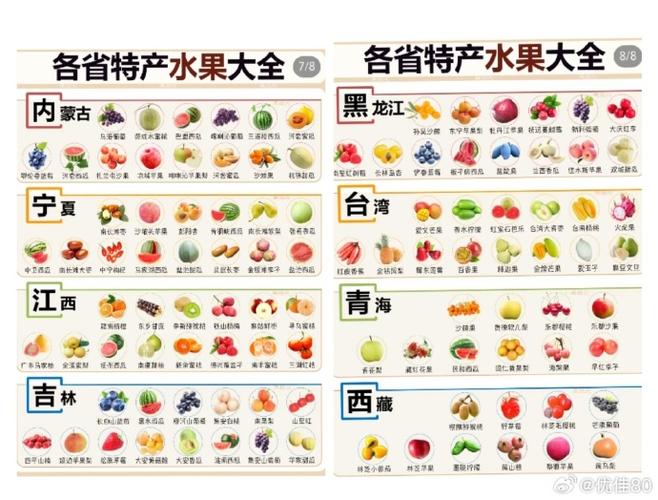 认水果的图片大全