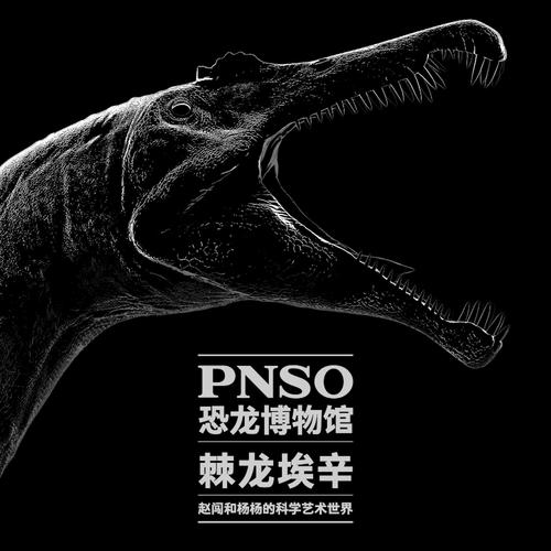 超级极巨苹果龙图鉴为什么还是黑色