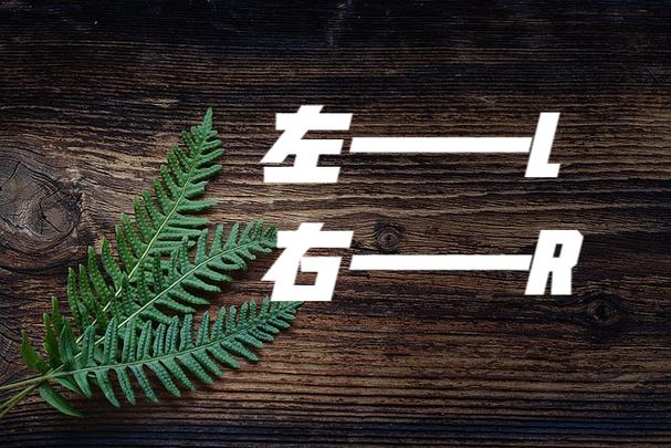 L、R代表左还是右