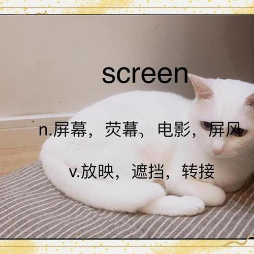 screen的中文意思
