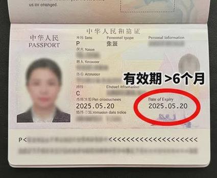 工作签证可以随时回国吗