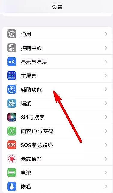 苹果桌面搜索怎么去掉图标