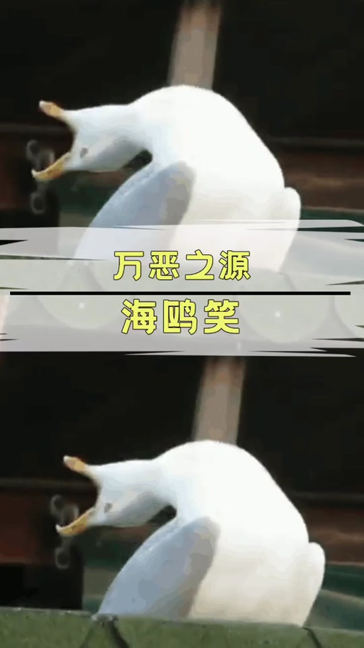 大鹅暗示啥意思