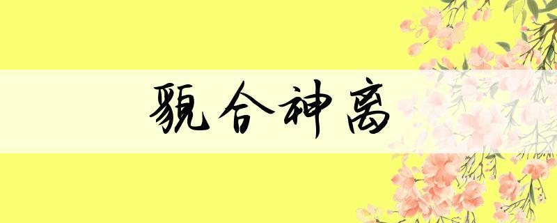 和神和貌有关的成语都有什么