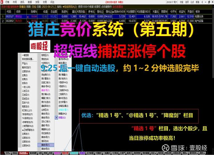 电子竞价系统