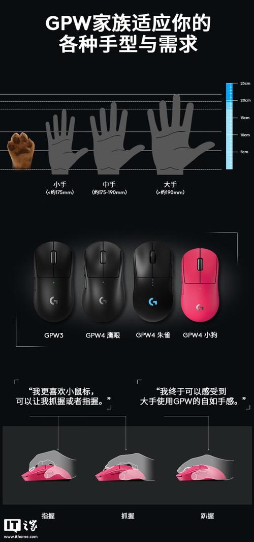 派派65004官方下载