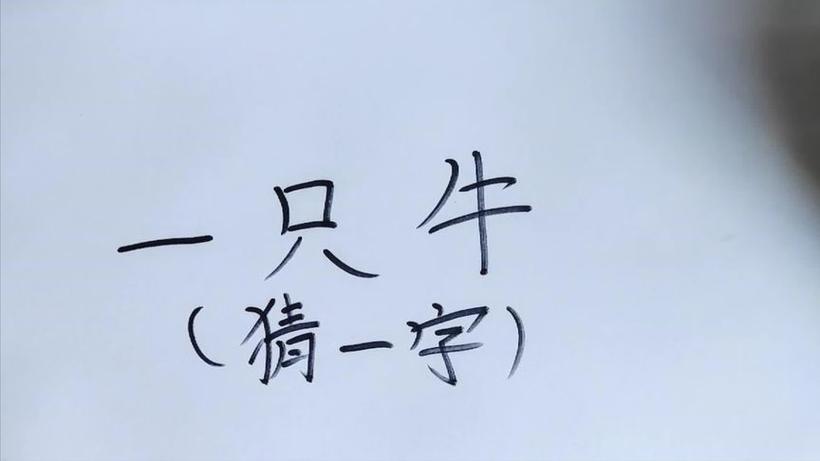 一头牛一只猫打一成语