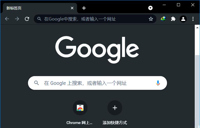 谷歌浏览器2024截图