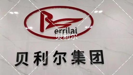 贝利尔集团是做什么的图标