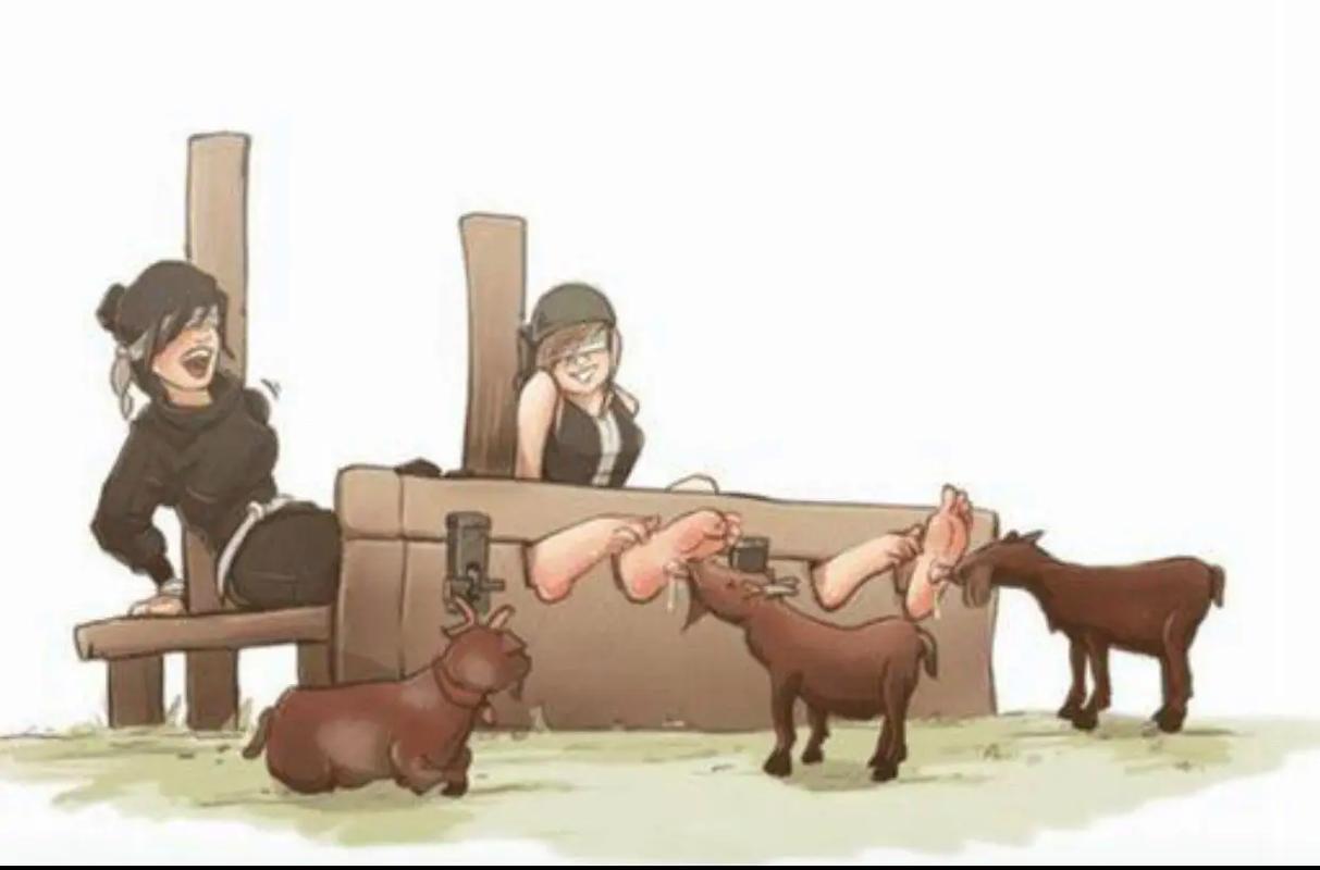 山羊挠脚丫挑战视频