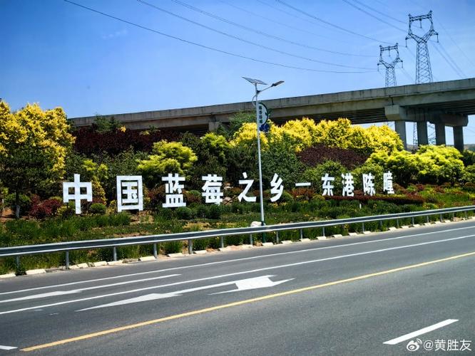 中国蓝莓之乡第一名图标